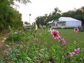 Jungle View Resort Sawai Madhopur Bagian luar foto