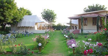 Jungle View Resort Sawai Madhopur Bagian luar foto