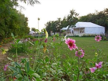 Jungle View Resort Sawai Madhopur Bagian luar foto